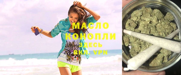 дмт Инта