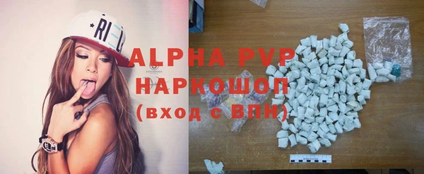 гашик Каменногорск