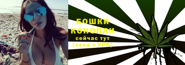 гашик Каменногорск