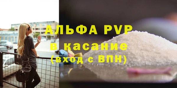 гашик Каменногорск
