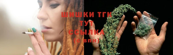 гашик Каменногорск