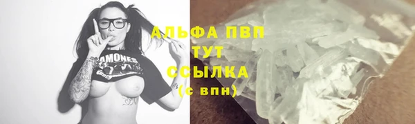 spice Каменка