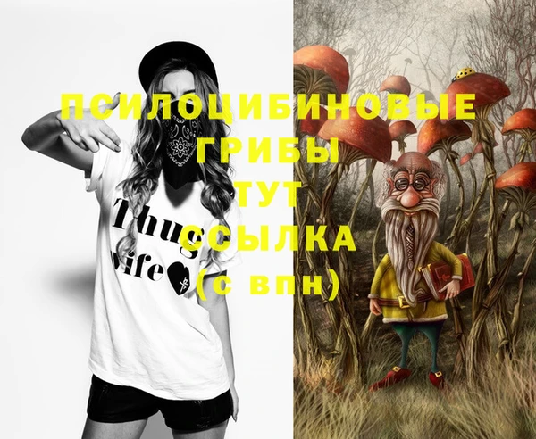 синтетический гашиш Каменск-Шахтинский