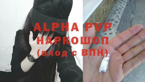 гашик Каменногорск
