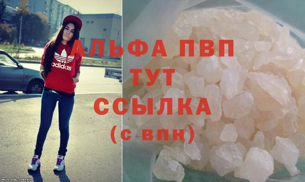 spice Каменка