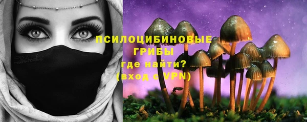 синтетический гашиш Каменск-Шахтинский