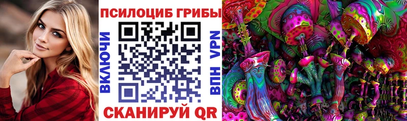 Галлюциногенные грибы Psilocybe  Кириллов 